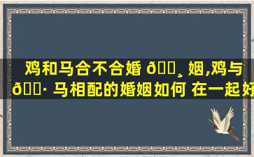 鸡和马合不合婚 🕸 姻,鸡与 🌷 马相配的婚姻如何 在一起好吗